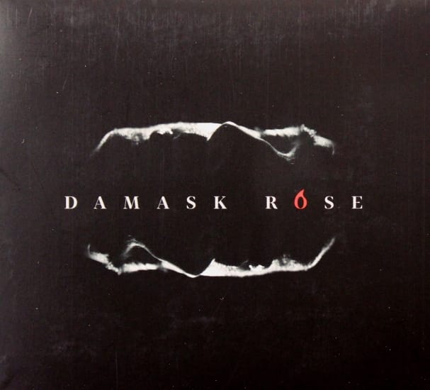 DAMASK ROSE: Damask Rose
